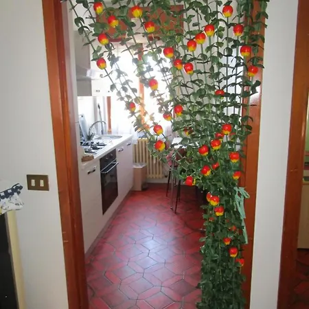 Rainbow House